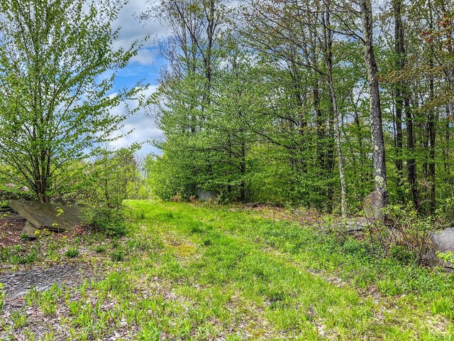 0 State Highway 28, Andes, NY 13731 - photo 61
