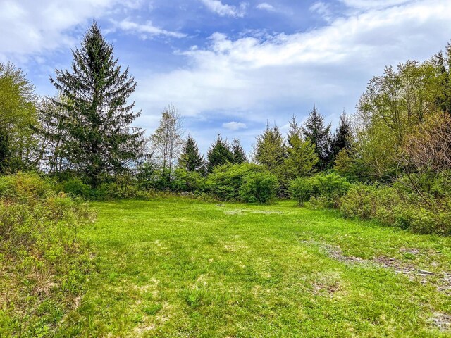 0 State Highway 28, Andes, NY 13731 - photo 64