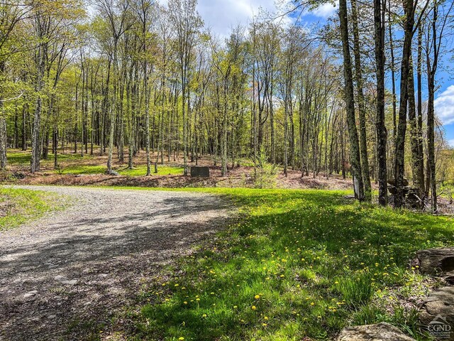 0 State Highway 28, Andes, NY 13731 - photo 20