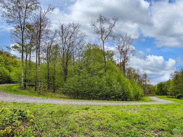 0 State Highway 28, Andes, NY 13731 - photo 81