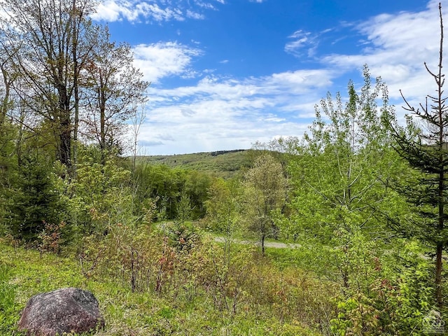 0 State Highway 28, Andes, NY 13731 - photo 11