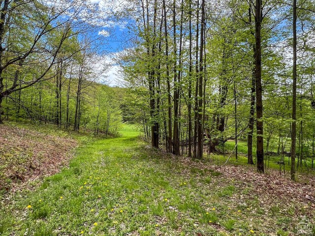 0 State Highway 28, Andes, NY 13731 - photo 30