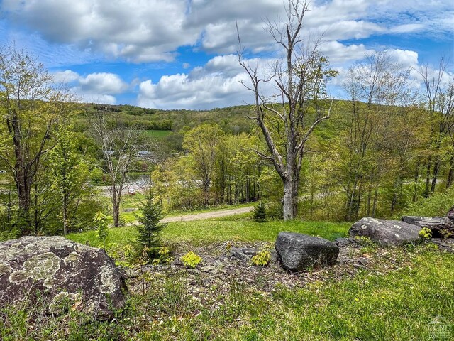 0 State Highway 28, Andes, NY 13731 - photo 14