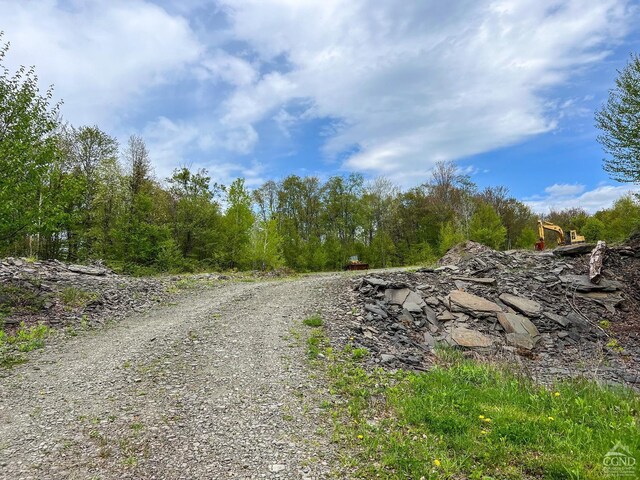0 State Highway 28, Andes, NY 13731 - photo 45