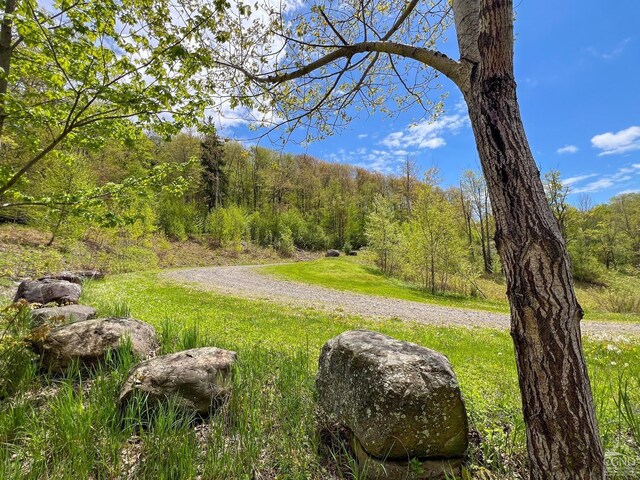 0 State Highway 28, Andes, NY 13731 - photo 9