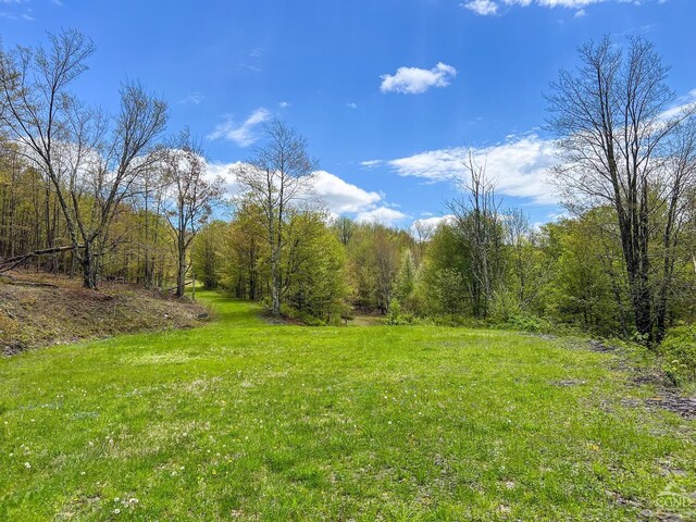 0 State Highway 28, Andes, NY 13731 - photo 25
