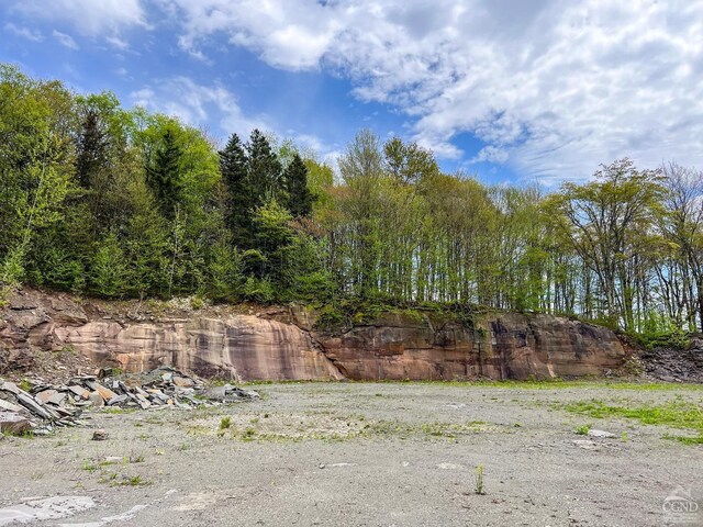 0 State Highway 28, Andes, NY 13731 - photo 47