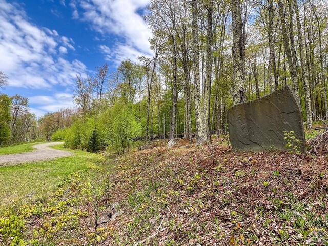0 State Highway 28, Andes, NY 13731 - photo 42