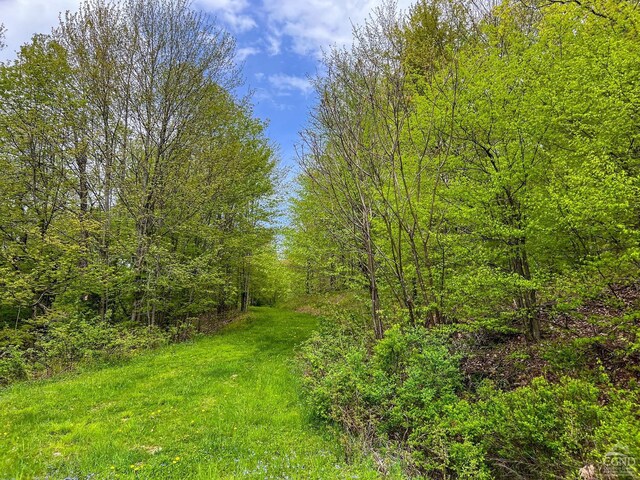 0 State Highway 28, Andes, NY 13731 - photo 37