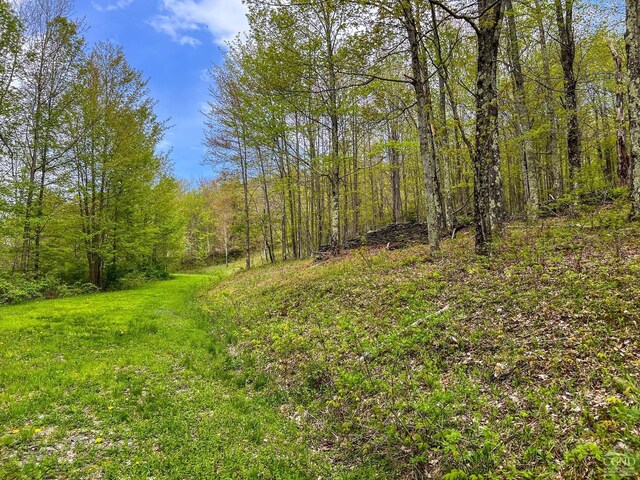 0 State Highway 28, Andes, NY 13731 - photo 38