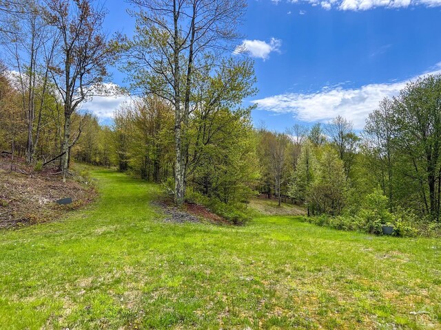 0 State Highway 28, Andes, NY 13731 - photo 26