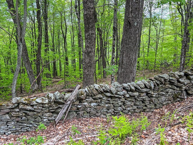 0 State Highway 28, Andes, NY 13731 - photo 82