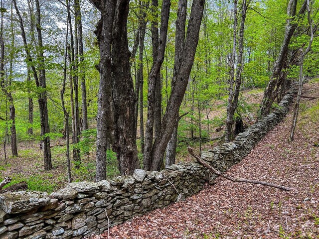0 State Highway 28, Andes, NY 13731 - photo 36