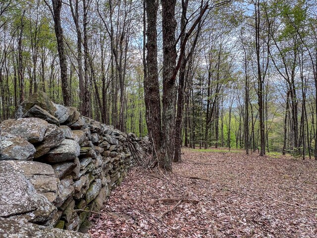 0 State Highway 28, Andes, NY 13731 - photo 70