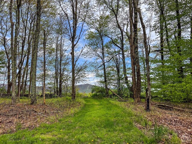 0 State Highway 28, Andes, NY 13731 - photo 53