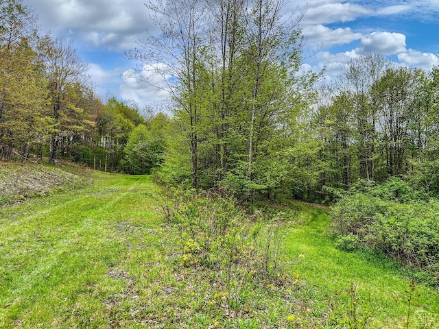 0 State Highway 28, Andes, NY 13731 - photo 75