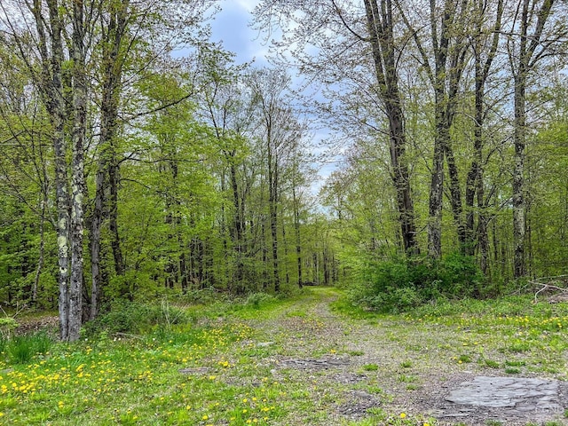 0 State Highway 28, Andes, NY 13731 - photo 49