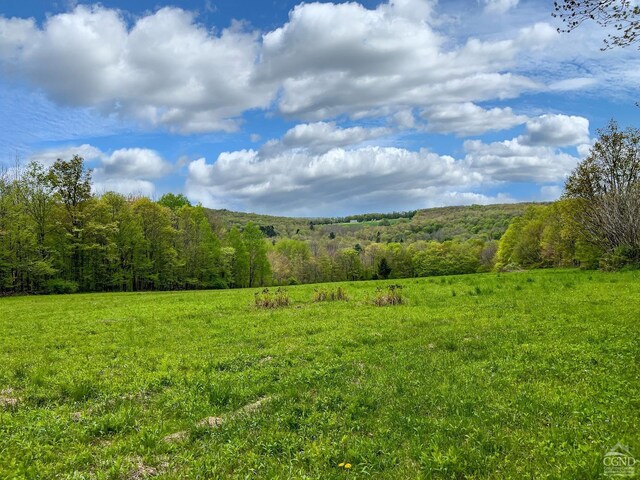 0 State Highway 28, Andes, NY 13731 - photo 31