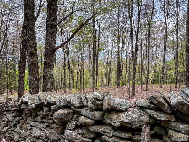0 State Highway 28, Andes, NY 13731 - photo 71