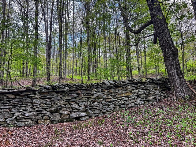 0 State Highway 28, Andes, NY 13731 - photo 86