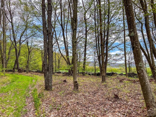 0 State Highway 28, Andes, NY 13731 - photo 56