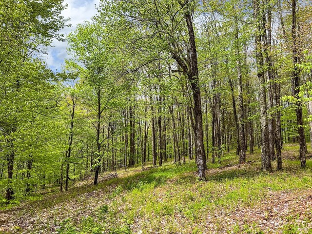 0 State Highway 28, Andes, NY 13731 - photo 77
