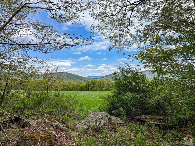 0 State Highway 28, Andes, NY 13731 - photo 54