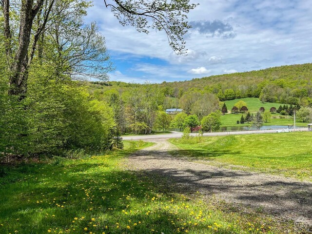 0 State Highway 28, Andes, NY 13731 - photo 5