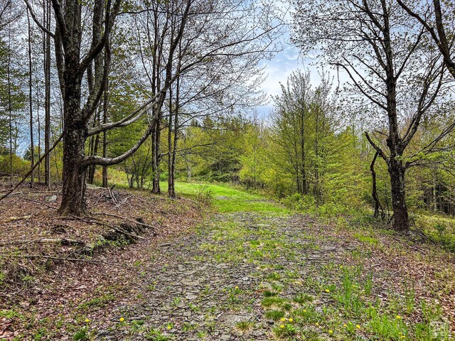 0 State Highway 28, Andes, NY 13731 - photo 62