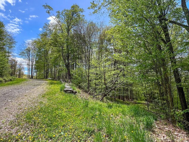 0 State Highway 28, Andes, NY 13731 - photo 16