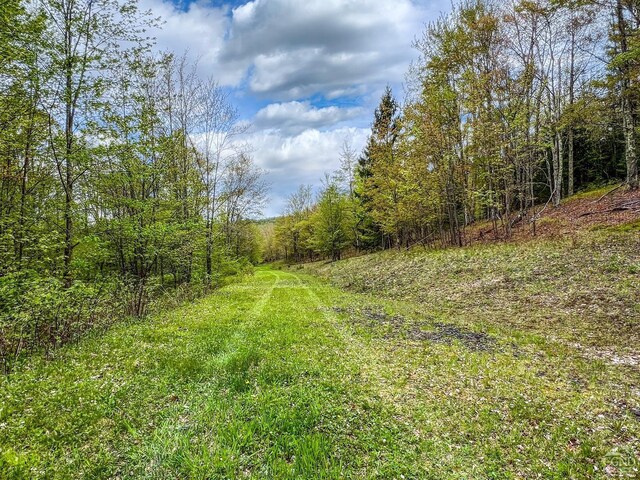 0 State Highway 28, Andes, NY 13731 - photo 74