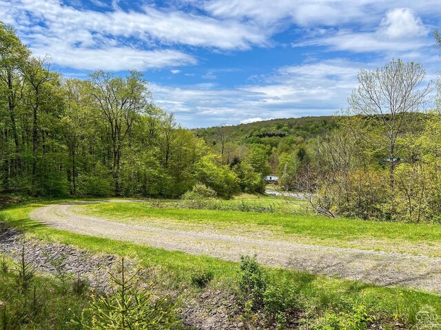 0 State Highway 28, Andes, NY 13731 - photo 6