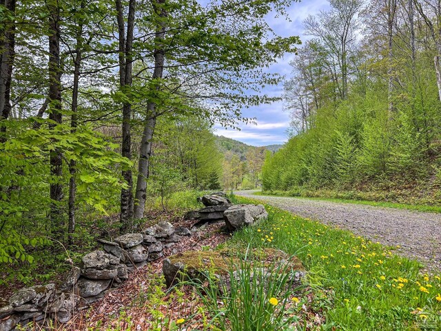 0 State Highway 28, Andes, NY 13731 - photo 89