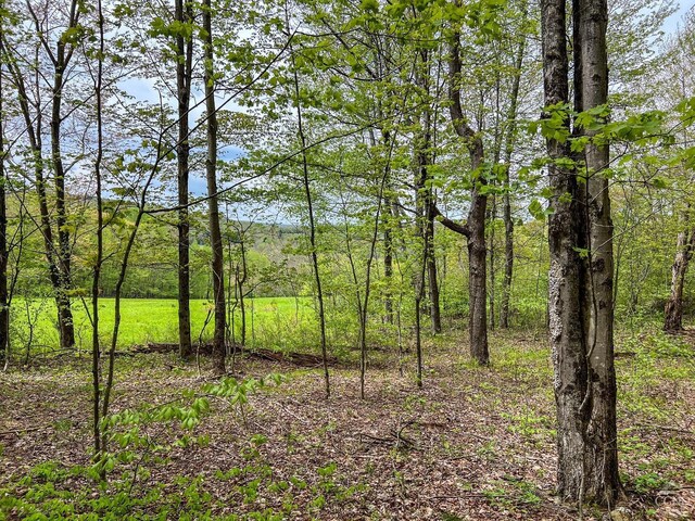 0 State Highway 28, Andes, NY 13731 - photo 34
