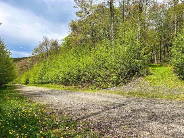 0 State Highway 28, Andes, NY 13731 - photo 79