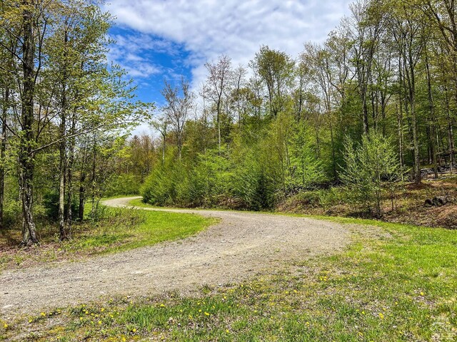 0 State Highway 28, Andes, NY 13731 - photo 43