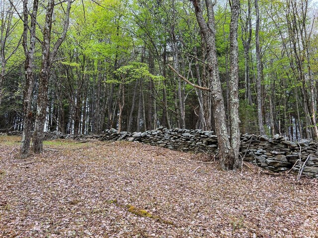 0 State Highway 28, Andes, NY 13731 - photo 68