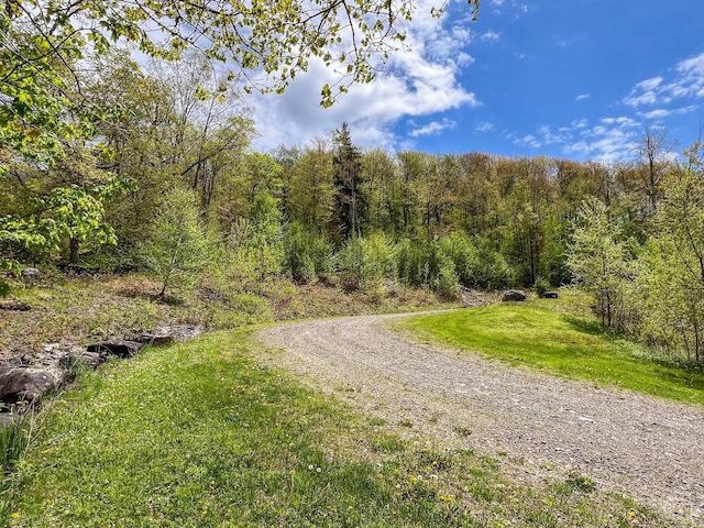 0 State Highway 28, Andes, NY 13731 - photo 7