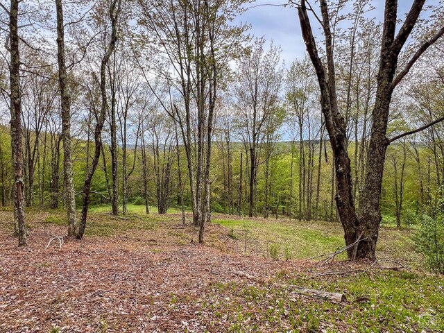 0 State Highway 28, Andes, NY 13731 - photo 72