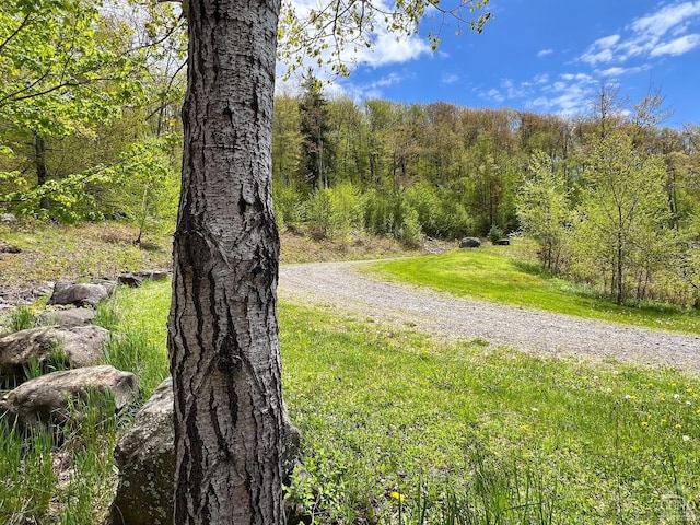0 State Highway 28, Andes, NY 13731 - photo 8