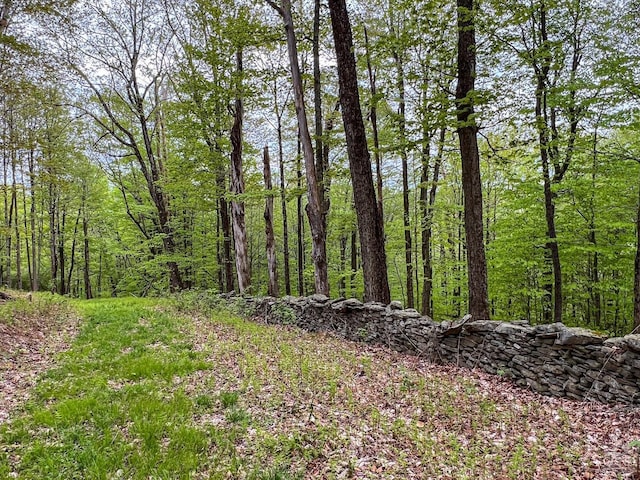 0 State Highway 28, Andes, NY 13731 - photo 83