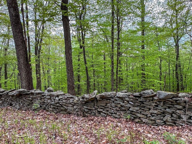 0 State Highway 28, Andes, NY 13731 - photo 84