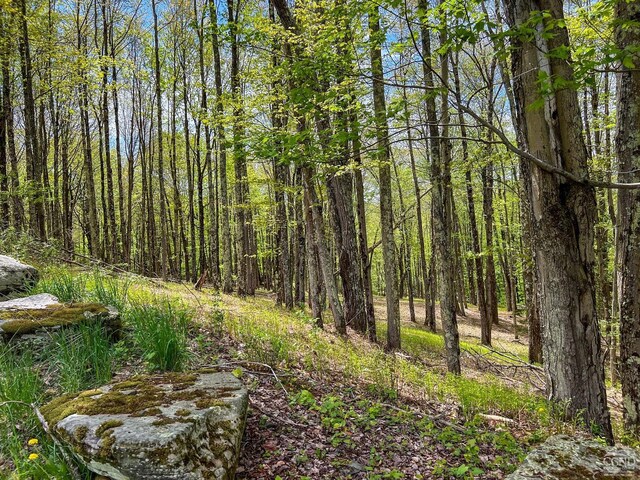 0 State Highway 28, Andes, NY 13731 - photo 18