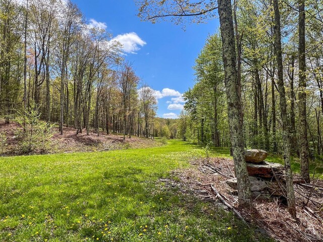 0 State Highway 28, Andes, NY 13731 - photo 21