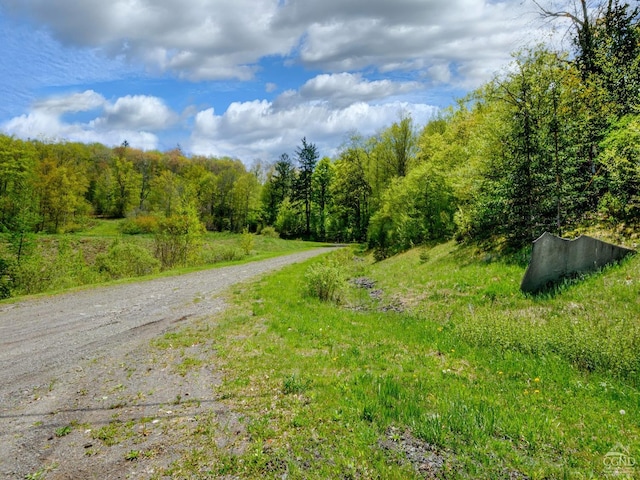 0 State Highway 28, Andes, NY 13731 - photo 2