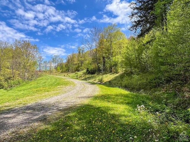 0 State Highway 28, Andes, NY 13731 - photo 4