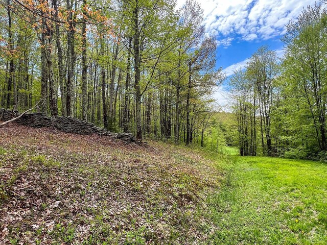 0 State Highway 28, Andes, NY 13731 - photo 29