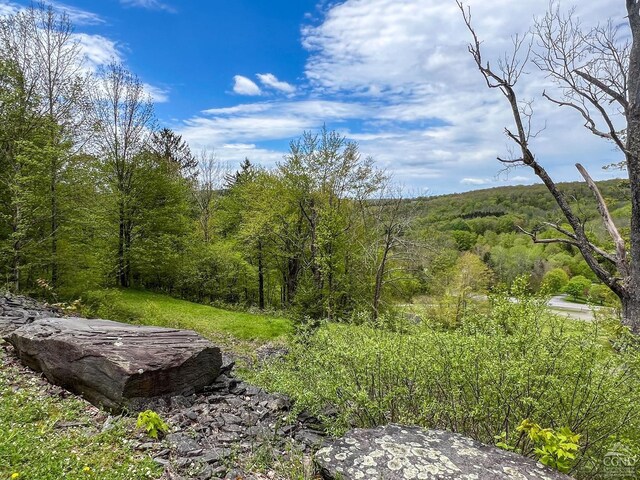 0 State Highway 28, Andes, NY 13731 - photo 13