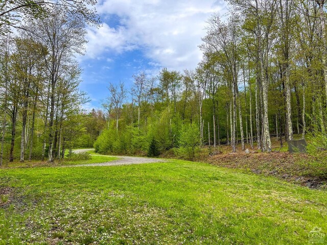 0 State Highway 28, Andes, NY 13731 - photo 41