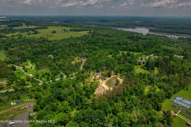 00 Adams Rd, Athens, NY 12015 - photo 20